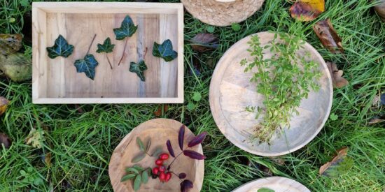 Leven met de kracht van de natuur - kruiden & de elementen