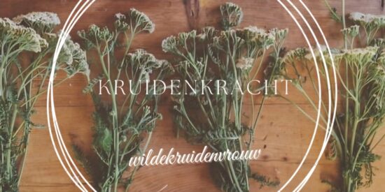 Kruidenkracht