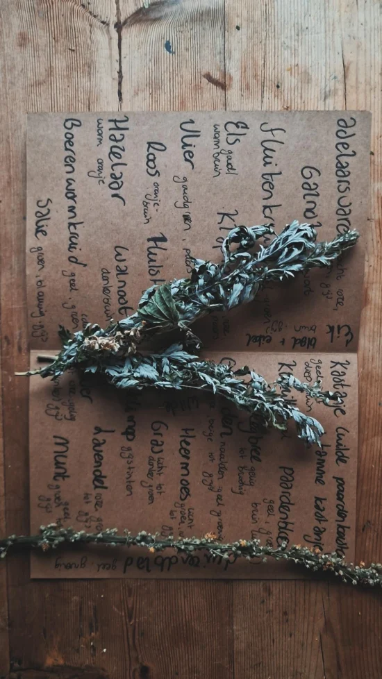 DIY wilde verf & inkt (compleet pakket) - Afbeelding 3