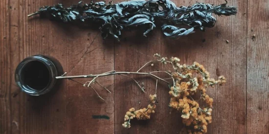 DIY wilde verf & inkt (basis pakket)