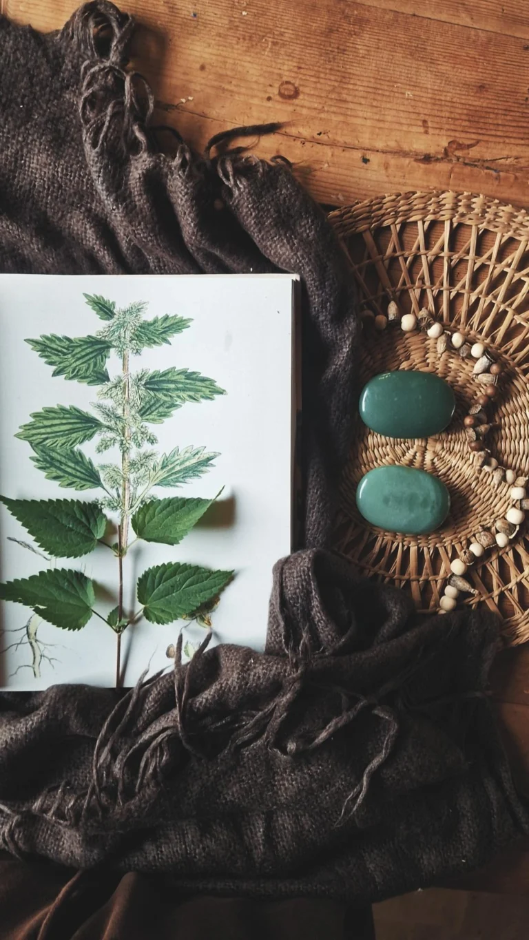 De taal van de plant