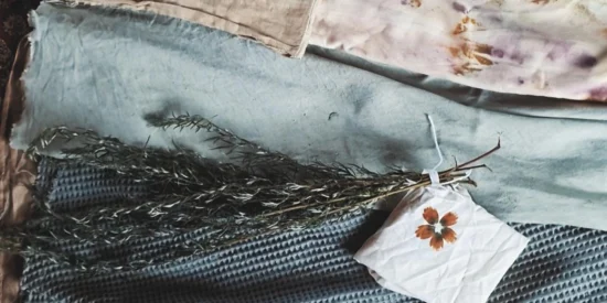 The wild dyer: stof & garen verven met planten