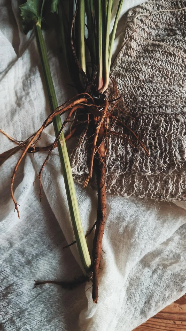 Innerlijke rust met kruiden