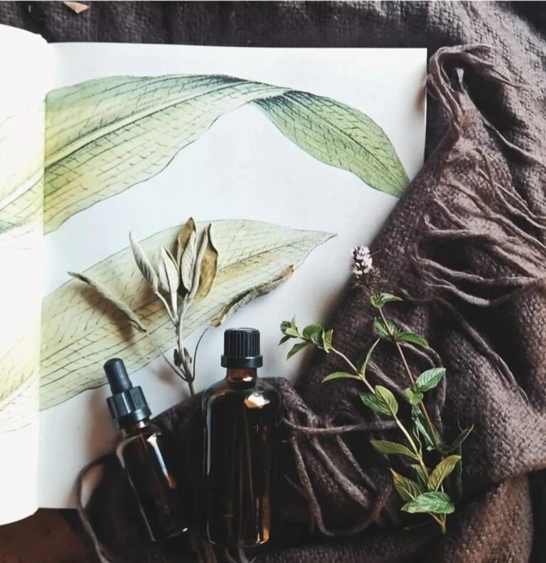 Verbinden met kruiden (maart 2026)